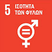 sdg_5_gr.jpg