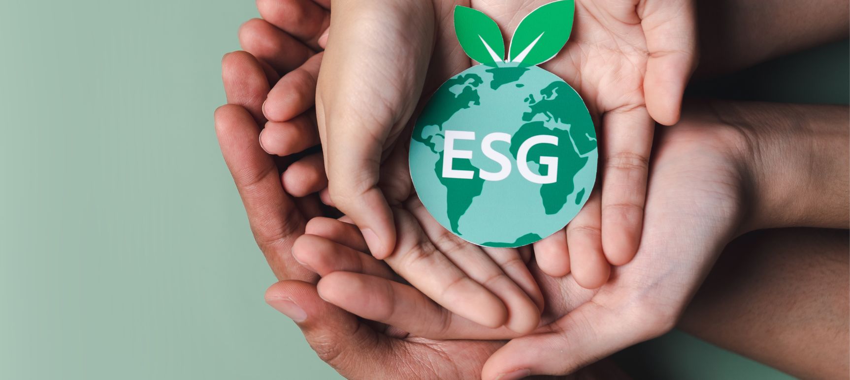 Sustainable Development and Corporate Social Responsibility Report 2024
