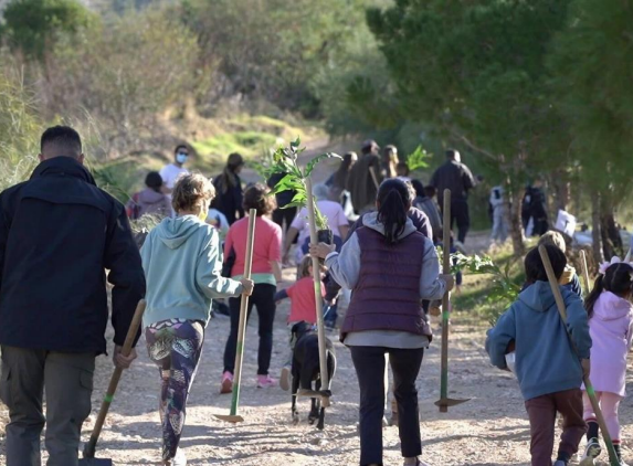 Η ΙΚΕΑ υποστήριξε δράση δενδροφύτευσης στον Υμηττό 